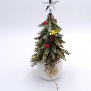 14 Inch Tabletop Christmas Tree/With Light/Party Home